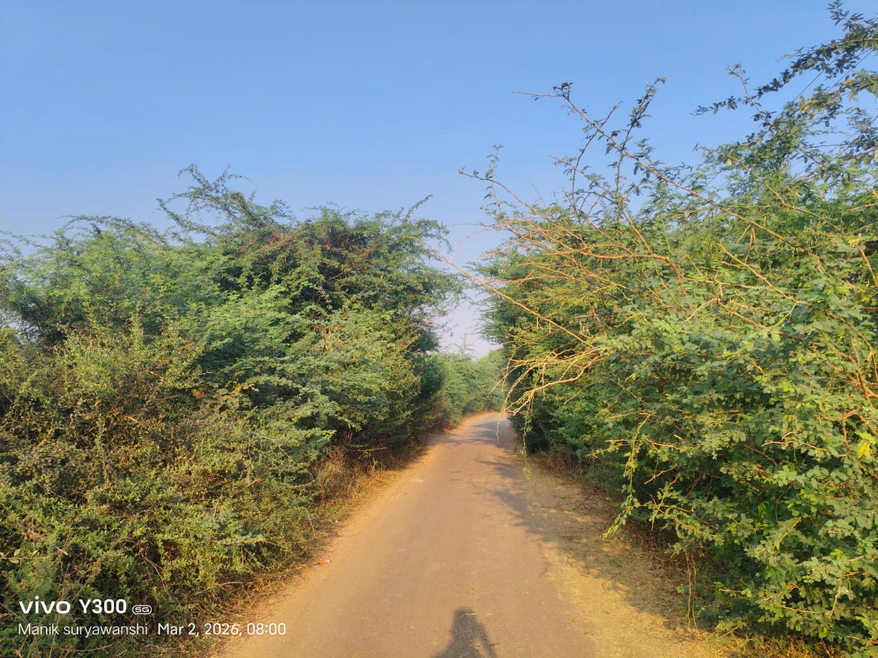 वझरगा-तुपशेळगाव रस्त्याला काटेरी झुडुपांचा विळखा;