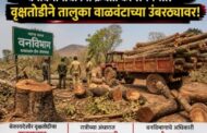 राहेर परिसरात अवैध वृक्षतोड - विटभट्यांसाठी सर्रास लाकूडतस्करी