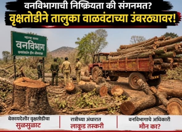 राहेर परिसरात अवैध वृक्षतोड - विटभट्यांसाठी सर्रास लाकूडतस्करी